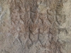 77. Gobustan. Petroglify 8 (tanczacy ludzie).JPG